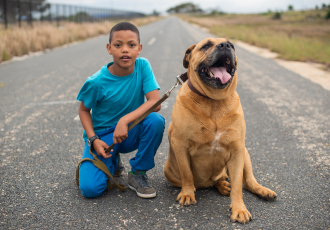 Boerboel con bambino.
