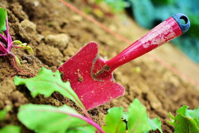 Attrezzi da giardino per la manutenzione delle aiuole.